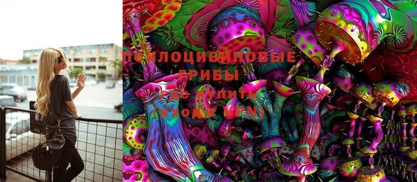 амф Алзамай
