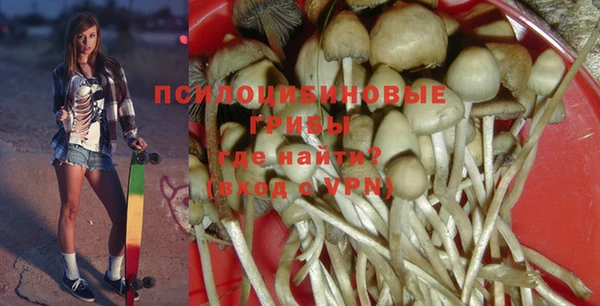 гидропоника Алексеевка